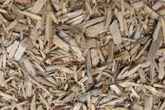 biomass boilers Sezincote